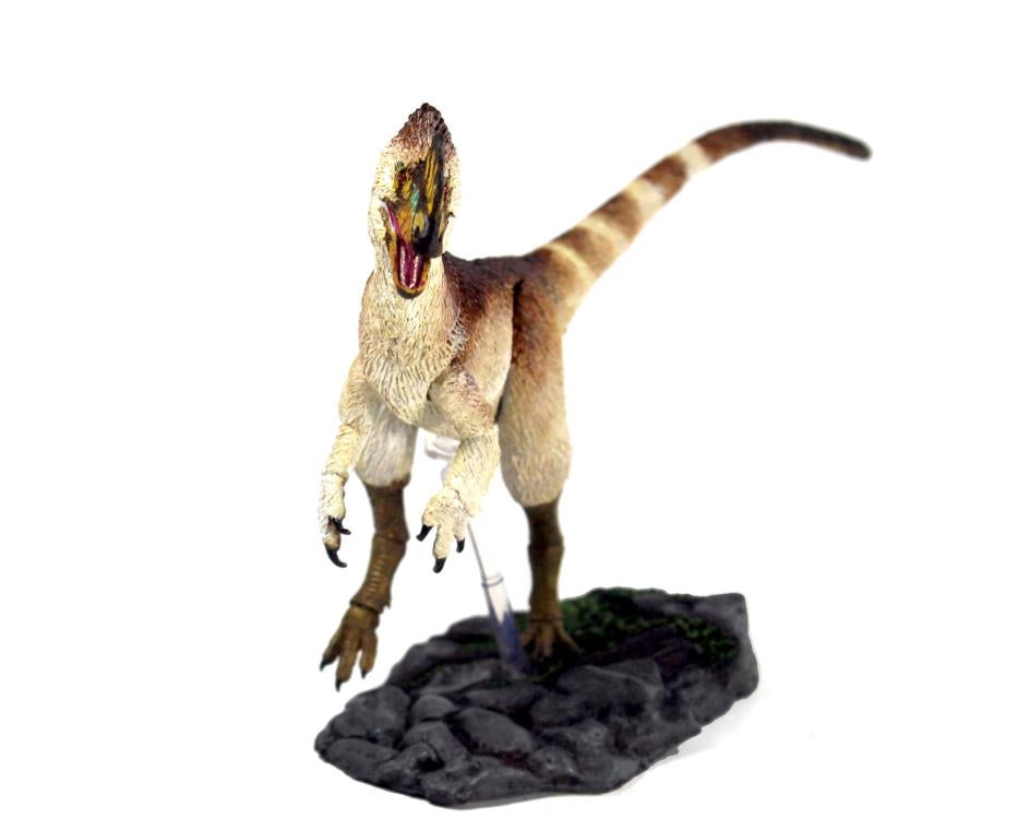 Beasts of the Mesozoic: Tyrannosaur Series Proceratosaurus bradleyi 1/18 Scale