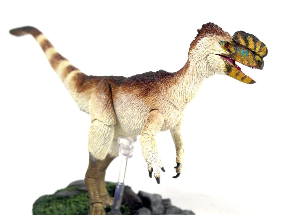 Beasts of the Mesozoic: Tyrannosaur Series Proceratosaurus bradleyi 1/18 Scale