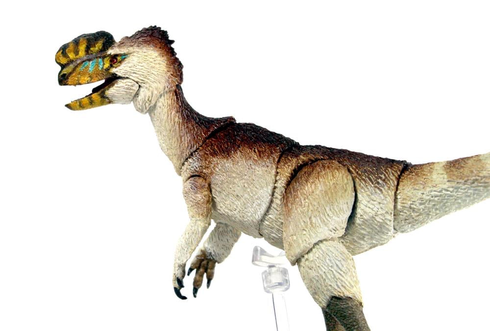 Beasts of the Mesozoic: Tyrannosaur Series Proceratosaurus bradleyi 1/18 Scale