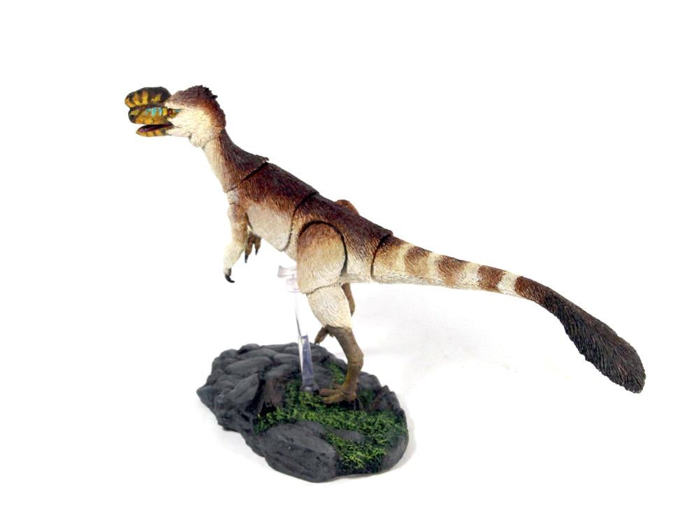 Beasts of the Mesozoic: Tyrannosaur Series Proceratosaurus bradleyi 1/18 Scale