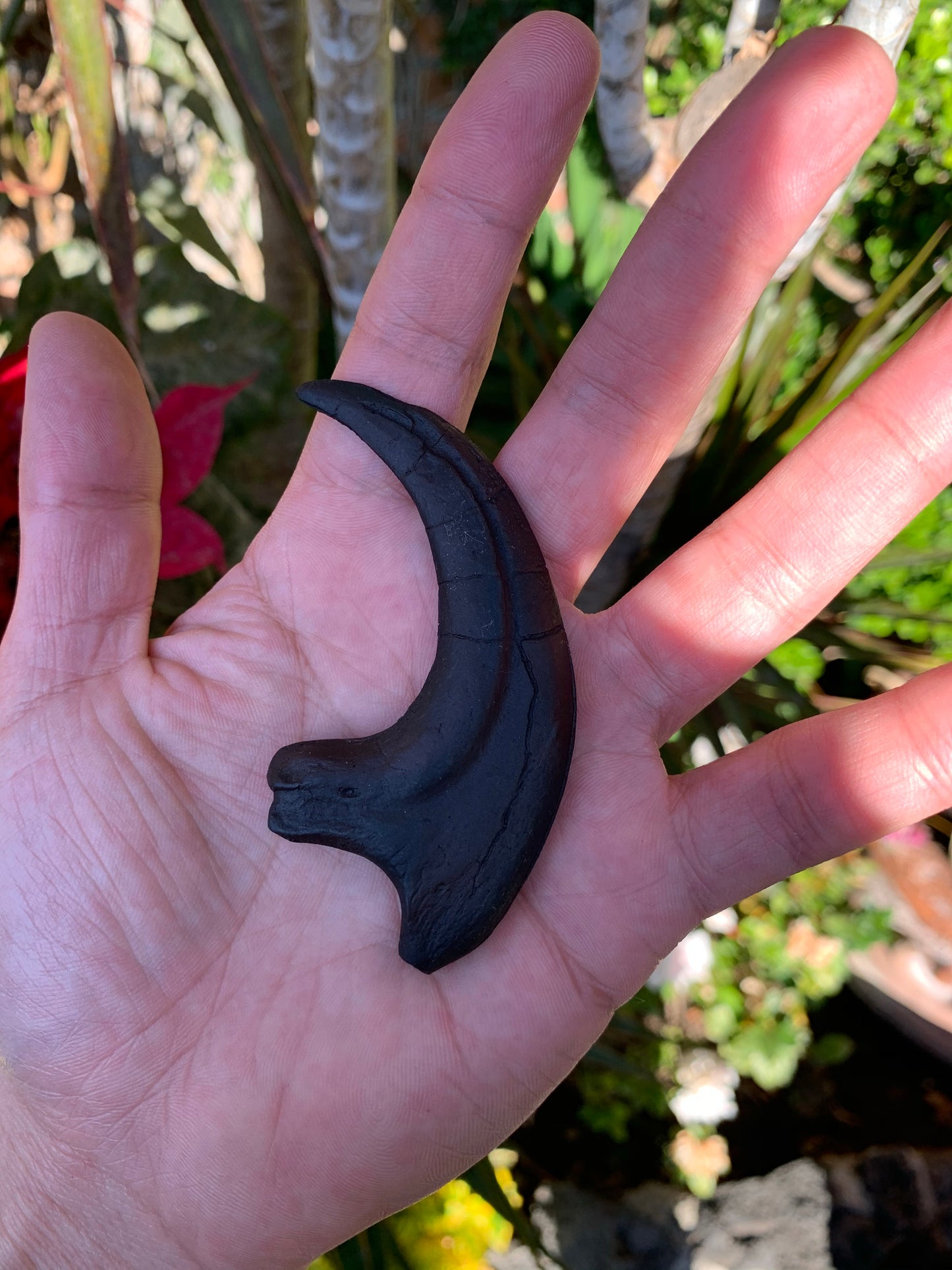 Velociraptor Claw Fossil Replica w/ Base