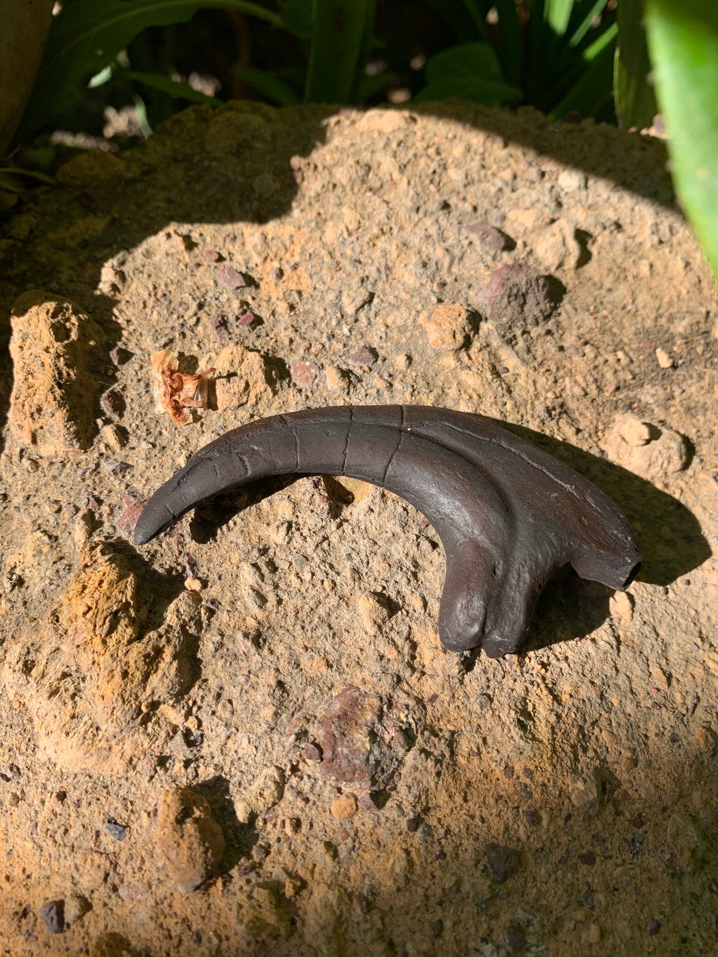 Velociraptor Claw Fossil Replica w/ Base