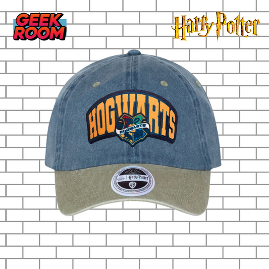 Harry Potter Hogwarts “Draco Dormiens Nunquam Titillandus” Blue/Beige Vintage
