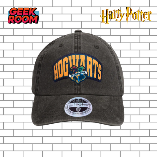 Harry Potter “Draco Dormiens Nunquam Titillandus” Grey Vintage