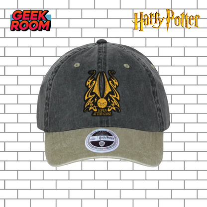 Harry Potter “I open at close” Grey/Beige Vintage