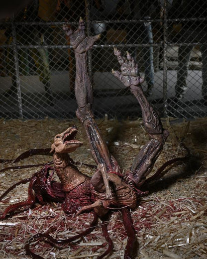 NECA The Thing Ultimate Dog Creature Set