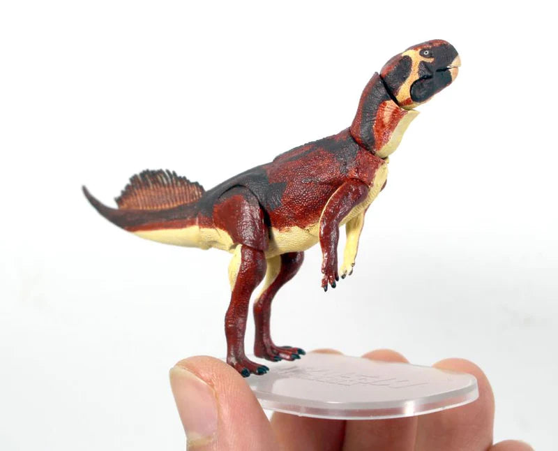Beasts of the Mesozoic Psittacosaurus mongoliensis 1/18 Scale