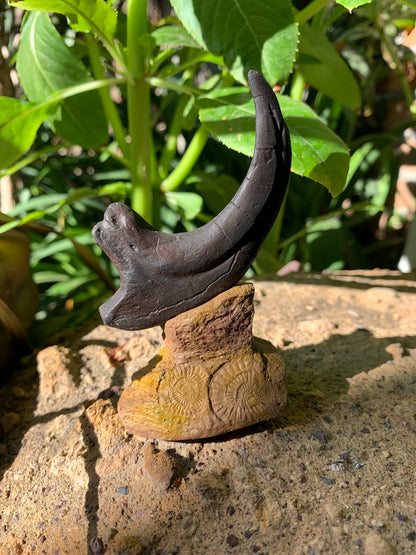 Velociraptor Claw Fossil Replica w/ Base