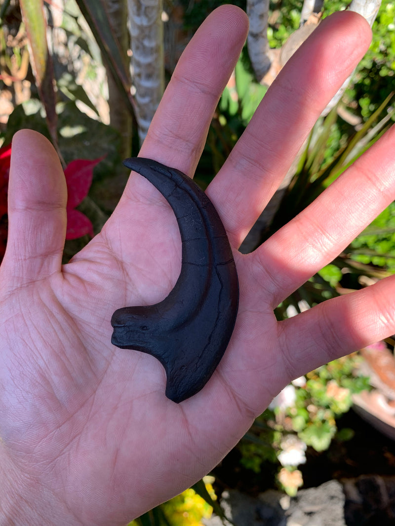 Velociraptor Claw Fossil Replica